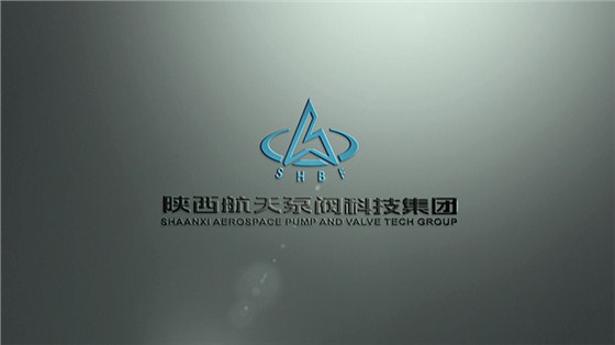 陝航泵閥(fá) (1) 